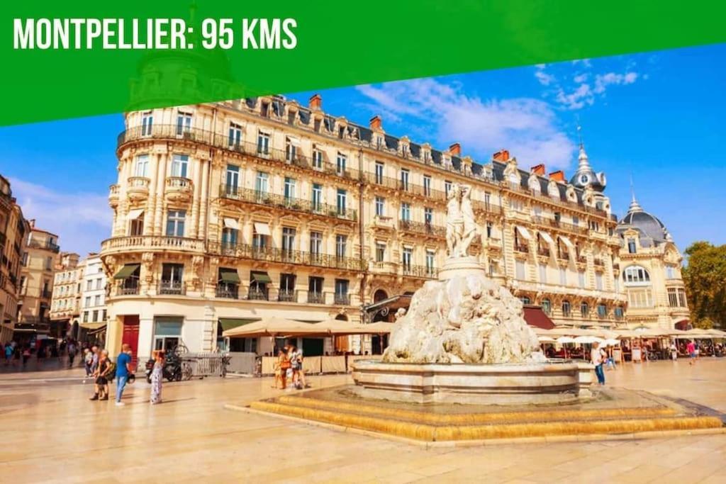 Appartamento Aux Marches Du Palais - Ac Clim - Spacieux - Terrasse - Wifi Avignone